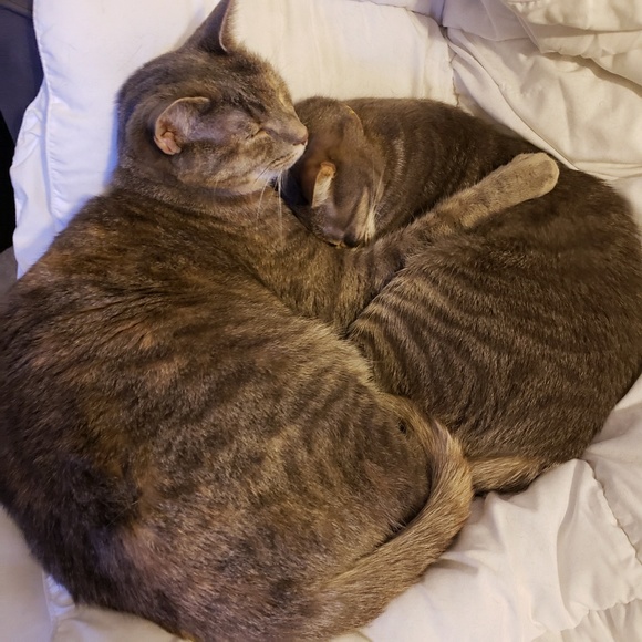 *Meet Your Posher* - Picture 3 of 6